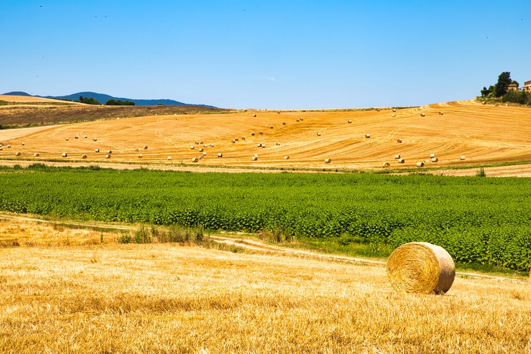 Tuscan landscape with harvested wheat bales.